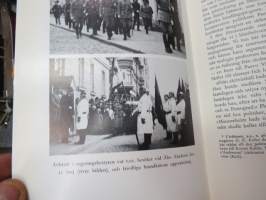 Riksföreståndaren - Gustaf Mannerheim 1919 -biography