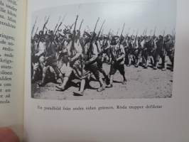 Riksföreståndaren - Gustaf Mannerheim 1919 -biography