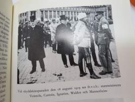 Riksföreståndaren - Gustaf Mannerheim 1919 -biography