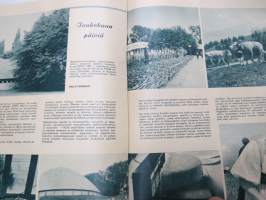Maatalousnainen 1964 nr 9, sis. mm. seur. artikkelit / kuvat / mainokset; Perhelisäperheiden neuvonta, Viljelijäperheelle riittävä ansiotaso, Emäntien