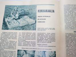 Maatalousnainen 1964 nr 9, sis. mm. seur. artikkelit / kuvat / mainokset; Perhelisäperheiden neuvonta, Viljelijäperheelle riittävä ansiotaso, Emäntien