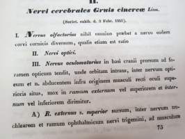 Symbolae ad anatomiam comparatam nervorum animalium vertebratorum, auctore E.J. Bonsdorff. II. Nervi cerebralis Gruis cinereae (kurki), painokuvat piirtänyt Magnus