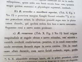 Symbolae ad anatomiam comparatam nervorum animalium vertebratorum, auctore E.J. Bonsdorff. II. Nervi cerebralis Gruis cinereae (kurki), painokuvat piirtänyt Magnus