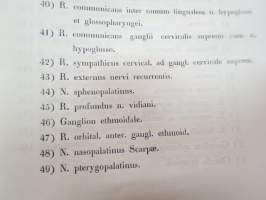 Symbolae ad anatomiam comparatam nervorum animalium vertebratorum, auctore E.J. Bonsdorff. II. Nervi cerebralis Gruis cinereae (kurki), painokuvat piirtänyt Magnus