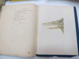 Symbolae ad anatomiam comparatam nervorum animalium vertebratorum, auctore E.J. Bonsdorff. II. Nervi cerebralis Gruis cinereae (kurki), painokuvat piirtänyt Magnus