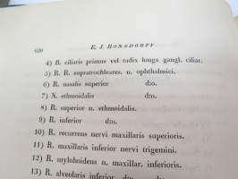 Symbolae ad anatomiam comparatam nervorum animalium vertebratorum, auctore E.J. Bonsdorff. II. Nervi cerebralis Gruis cinereae (kurki), painokuvat piirtänyt Magnus