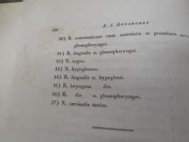 Symbolae ad anatomiam comparatam nervorum animalium vertebratorum, auctore E.J. Bonsdorff. II. Nervi cerebralis Gruis cinereae (kurki), painokuvat piirtänyt Magnus