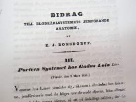 Bidrag till blodkärlsystemets jemförande anatomie, af E.J. Bonsdorff. III. Portven Systemet hos Gadus Lola  (made), painokuvan piirtänyt Magnus von Wright,