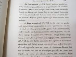 Bidrag till blodkärlsystemets jemförande anatomie, af E.J. Bonsdorff. III. Portven Systemet hos Gadus Lola  (made), painokuvan piirtänyt Magnus von Wright,