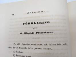 Bidrag till blodkärlsystemets jemförande anatomie, af E.J. Bonsdorff. III. Portven Systemet hos Gadus Lola  (made), painokuvan piirtänyt Magnus von Wright,