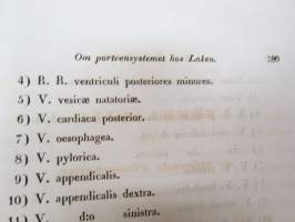 Bidrag till blodkärlsystemets jemförande anatomie, af E.J. Bonsdorff. III. Portven Systemet hos Gadus Lola  (made), painokuvan piirtänyt Magnus von Wright,