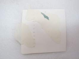 Ankanuitto -valokuva / photograph