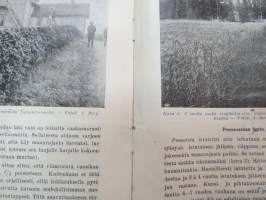 Pensasaidoista -eripainos Tapio 1932 nr 19 -bushes and hedges as fences