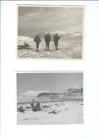 1950-luvun Lappia / Lapin hangilla - valokuva 12x15 cm 2 kpl