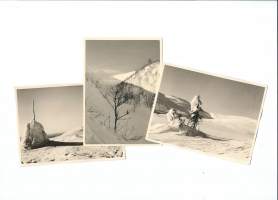 1950-luvun Lappia / Lumien taidetta - valokuva 9x12 cm 3 kpl