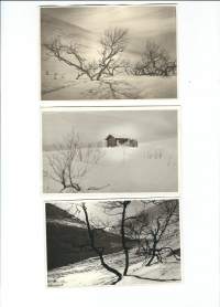 1950-luvun Lappia / Lapin lumoa - valokuva 9x13  cm 3 kpl