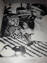Pippa savannien kaunotar/ Jou Adamson, p. 1970.