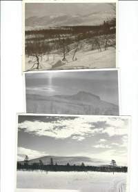 1950-luvun Lappia / tunturit jylhät - valokuva  3 kpl
