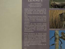 Kotimaan linnut