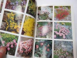 Puutarhan ja kodin koristekasvit -garden &amp; home plants in colours