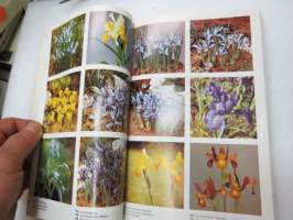 Puutarhan ja kodin koristekasvit -garden &amp; home plants in colours