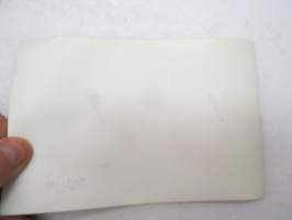 Suojeluskuntavääpeli P. Itkänokka ja seurue -valokuva / photograph