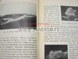 Meteorologins grunder