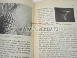 Meteorologins grunder