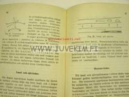 Meteorologins grunder