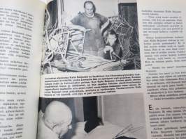 Hymy lehti 1967 nr 10 lokakuu, sis. mm. seur. artikkelit / kuvat / mainokset; Kansikuva Liana Kaarina (kuvannut J. Poutanen), Harri Piitulainen - Kolmen vuoden