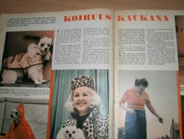 kansan kuvalehti  25 /1960vakitan tarjous smart -postimaksut smart -postimaksu  S ja M-koko  5e katso koot postin sivustolta
