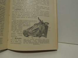Kotieläintemme anatomia