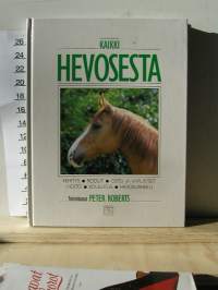 kaikki hevosesta