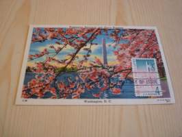 Washington Monument and Cherry Blossoms, kirsikkapuu, kirsikankukka, 1960, USA, postikortti, maksikortti, FDC, hieno esim. lahjaksi. Katso myös muut kohteeni mm.