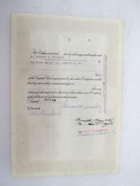 Hydraulic-Press Brick Company, 100 000 shares, nr P14679 -share certificate / osakekirja