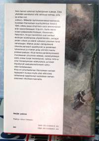 Teräsvyöry Kannaksella, 1974. 4. painos. (sota, jatkosota, 1944)