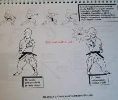 Kata heian shodan