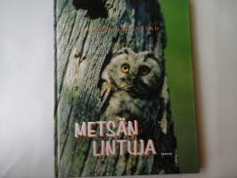 Metsän lintuja