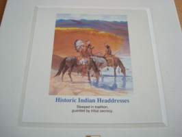 Historic American Indian Headdresses, 1990, USA, Proof-kortti, FDC, koko 15 cm x 22,5 cm.  Katso myös muut kohteeni mm. noin 1500 erilaista ensipäiväkuorta.