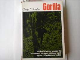 Gorilla