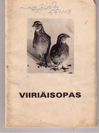 Viiriäisopas/ Pystynen Raimo. P.  1975.  &quot;8  sivuinen. Mukaba  A4  kokoinen  aivan  erillinen  terveellistä  herkkua  selitelmä.