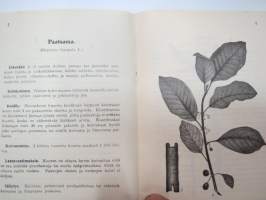 Ohjeita lääkekasvien keräämiseen -plants of medical use - collecting