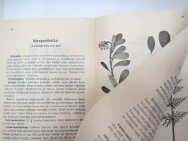 Ohjeita lääkekasvien keräämiseen -plants of medical use - collecting