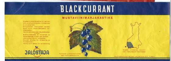 Mustaviinimarja kastike   -  tuote-etiketti  1930-40-luku /11x25 cm