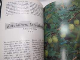 Mihin marjamme kelpaavat -finnish berries