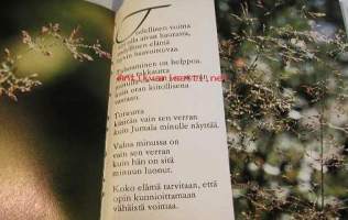 Anna minulle silmät nähdä