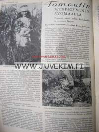 Kotiliesi 1934 nr 8