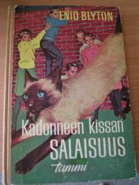 kadonneen kissan salaisuus