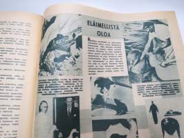 Suomen Sosiaalidemokraatti 1958 nr 89 - Pääsiäisenä 1958 -pääsiäisen erikoisnumero -magazine