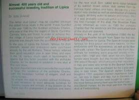 lipica